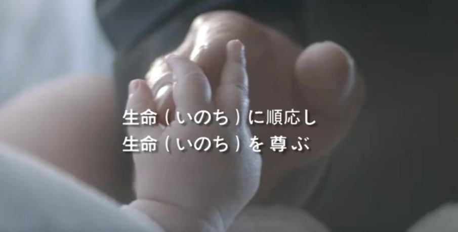 k豆钱包集团形象片（日本語）