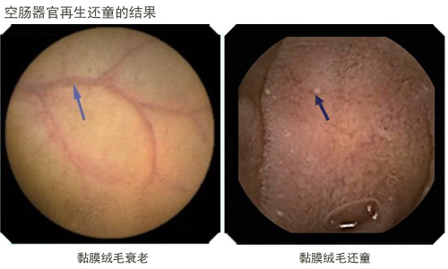 k豆钱包官方网站 - kdpay钱包