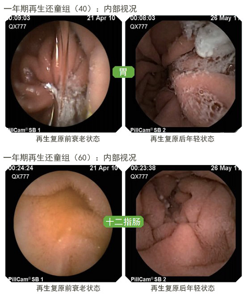k豆钱包官方网站 - kdpay钱包