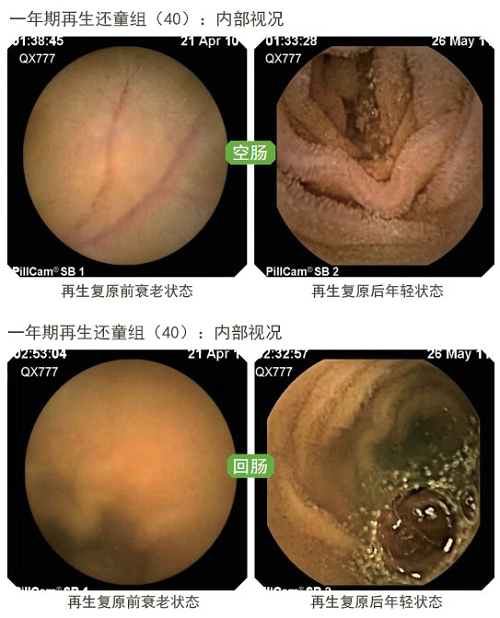 k豆钱包官方网站 - kdpay钱包