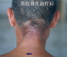 k豆钱包官方网站 - kdpay钱包