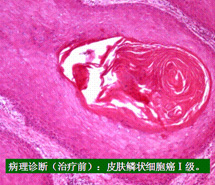 k豆钱包官方网站 - kdpay钱包
