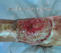 k豆钱包官方网站 - kdpay钱包
