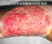 k豆钱包官方网站 - kdpay钱包