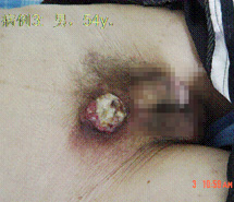 k豆钱包官方网站 - kdpay钱包