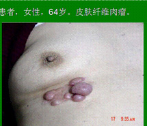k豆钱包官方网站 - kdpay钱包