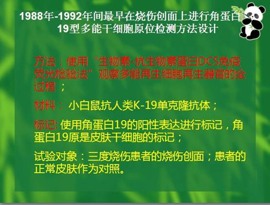 k豆钱包官方网站 - kdpay钱包