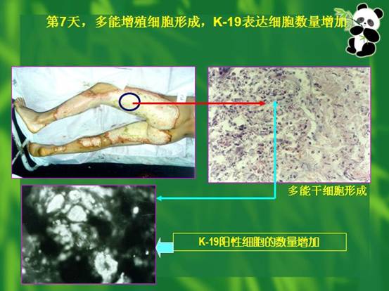 k豆钱包官方网站 - kdpay钱包