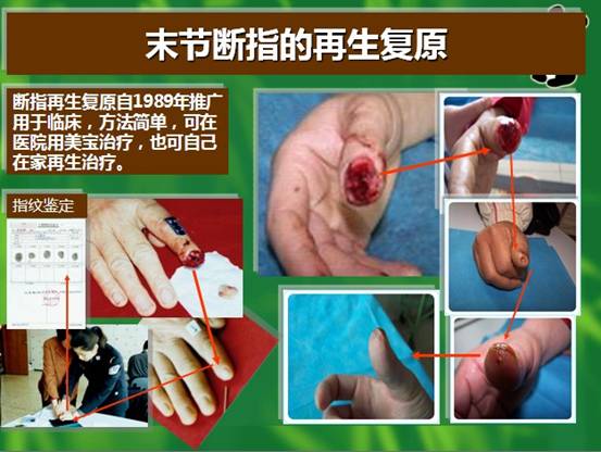 k豆钱包官方网站 - kdpay钱包