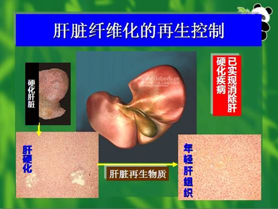 k豆钱包官方网站 - kdpay钱包