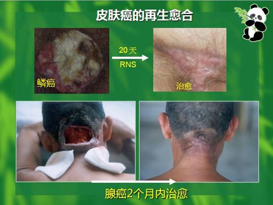 k豆钱包官方网站 - kdpay钱包