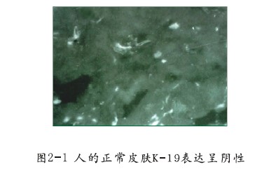 k豆钱包官方网站 - kdpay钱包
