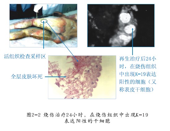 k豆钱包官方网站 - kdpay钱包