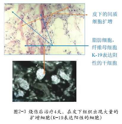 k豆钱包官方网站 - kdpay钱包