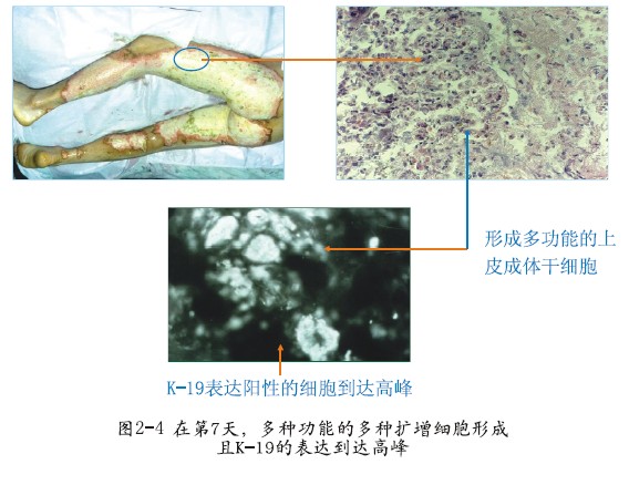 k豆钱包官方网站 - kdpay钱包