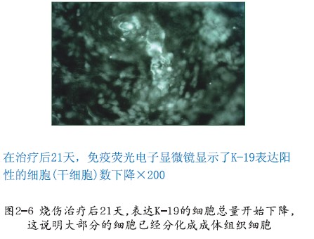 k豆钱包官方网站 - kdpay钱包