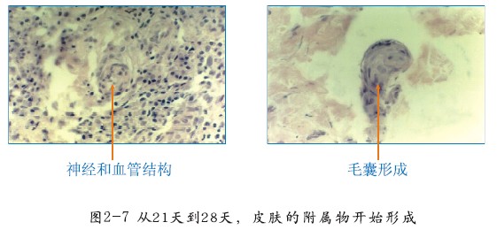 k豆钱包官方网站 - kdpay钱包