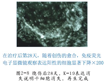 k豆钱包官方网站 - kdpay钱包
